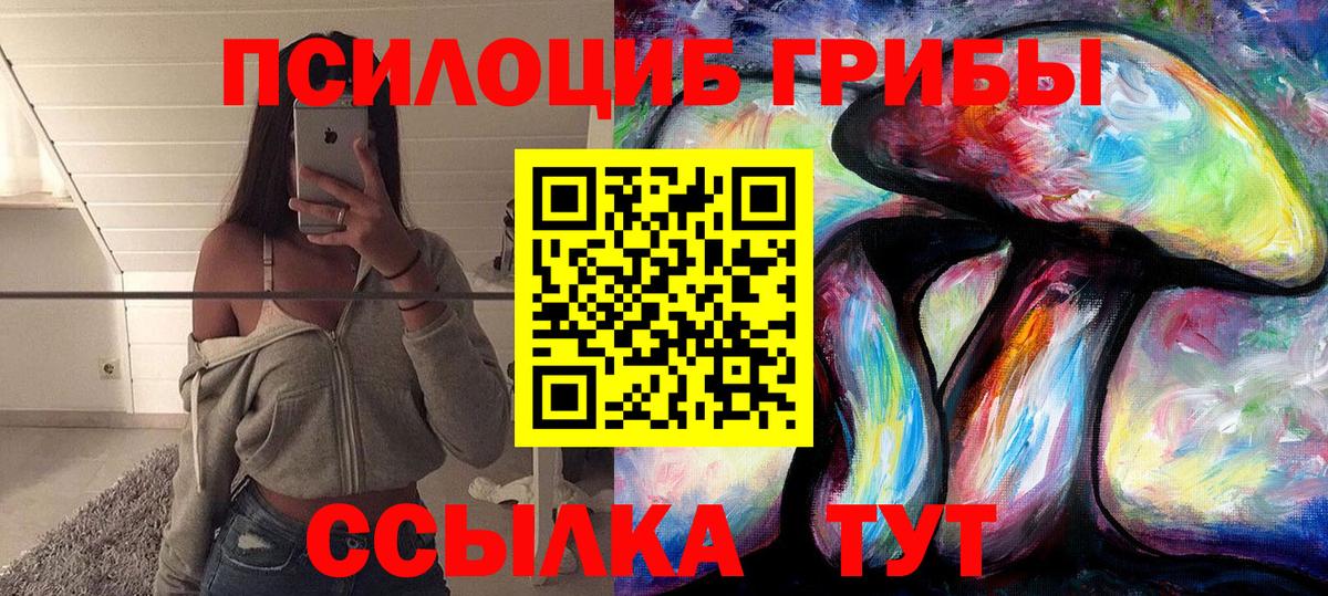 Псилоцибиновые грибы Cubensis Владимир