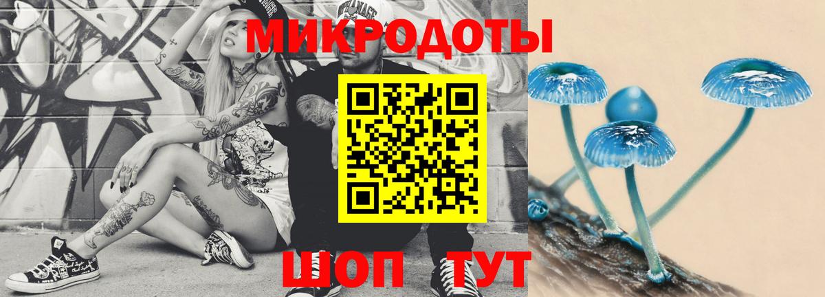 Владимир  Псилоцибиновые грибы ЛСД  Вход с VPN 